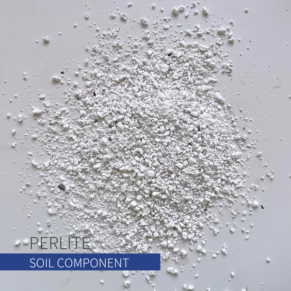 Coarse Perlite BIRDY'S PLANTS