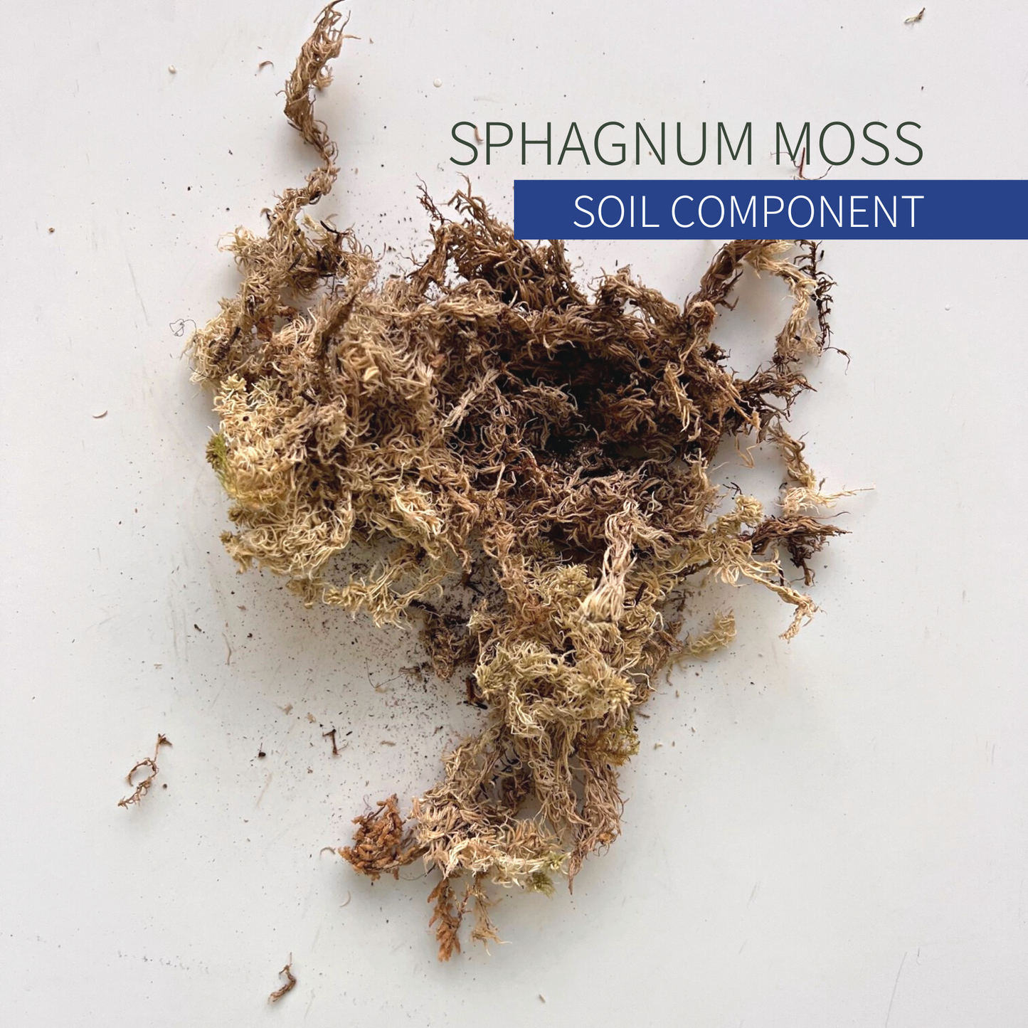A pile of long-fibered Canadian sphagnum moss. 