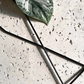 Next to a thriving Scindapsus Exotica houseplant, the Surena Upside Down Triangle Trellis stands as a sleek black metal trellis, designed for climbing plants indoors. This unique metal trellis for climbing plants adds both style and functionality to your indoor garden.