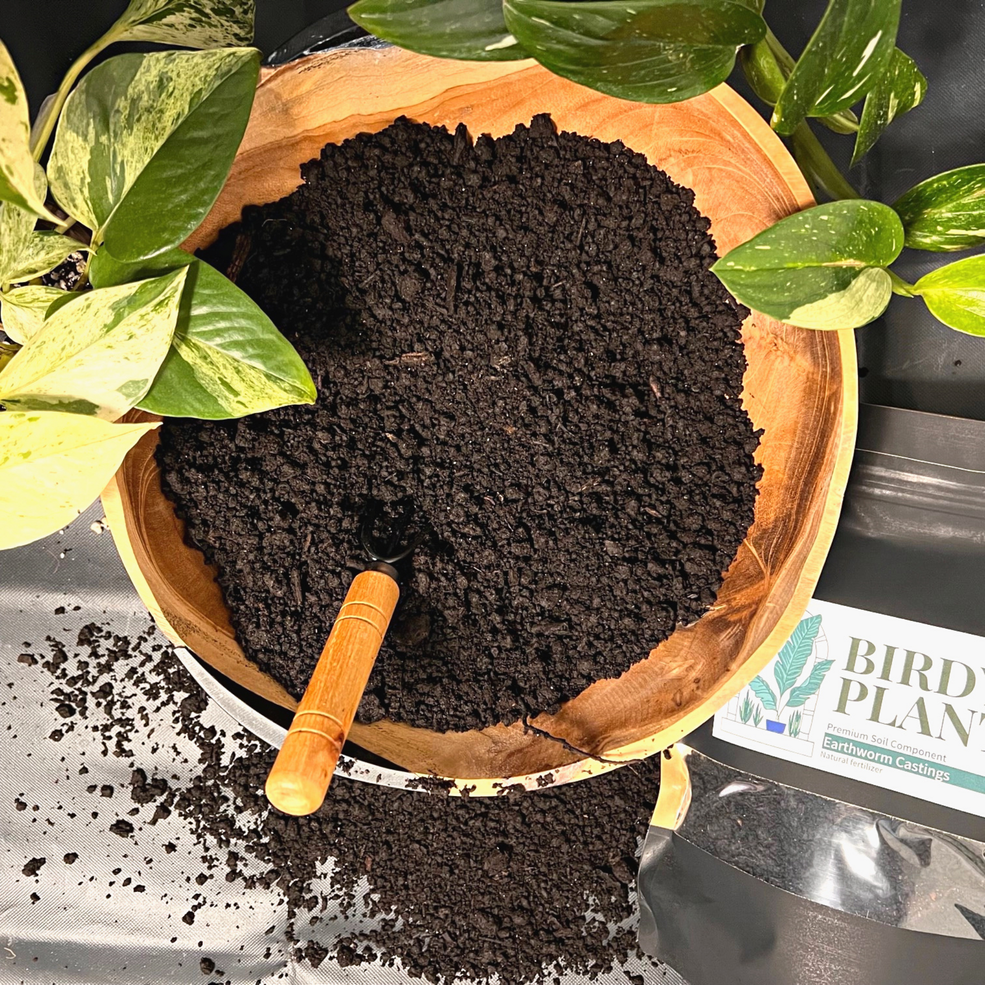 earthworm castings for indoor plants Worm Castings